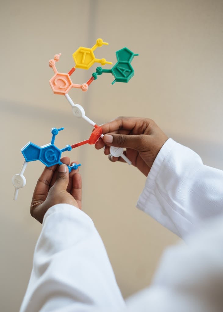 Crop chemist holding in hands molecule model